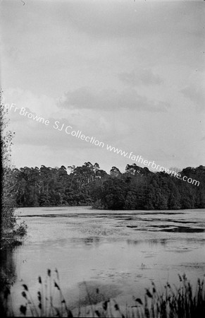 LAKE PANORAMA FROM W.